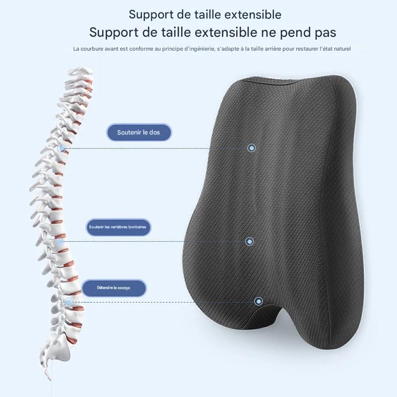 Ensemble Coussin en Mousse à Mémoire – Support Lombaire et Siège Ergonomique