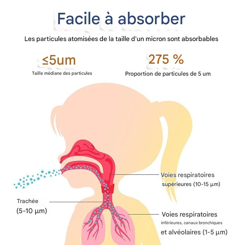 Nébuliseur Portatif Silencieux - Santé Respiratoire pour Enfants et Adultes