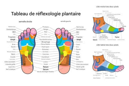 Rouleau de Massage en Bois pour Pieds – Relaxation et Soulagement des Douleurs