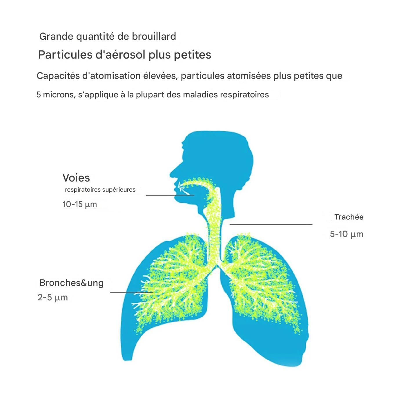 Nébuliseur Portatif Silencieux - Santé Respiratoire pour Enfants et Adultes