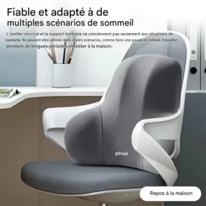 Coussin Lombaire Mémoire de Forme Ergonomique pour le Dos